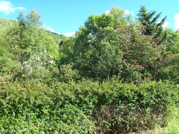 Imagen de la habitación del Hotel Solfjord Bedandbistro. Foto 12