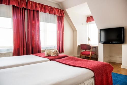 Imagen de la habitación del Hotel Solhem Basecamp Gotland. Foto 5