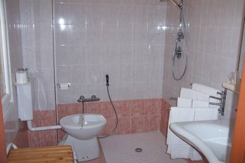 Imagen de la habitación del Hotel Solidago. Foto 3