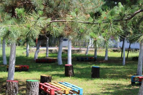 Imagen general del Hotel Solidarity. Foto 2