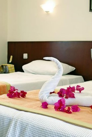 Imagen de la habitación del Hotel Solim. Foto 9