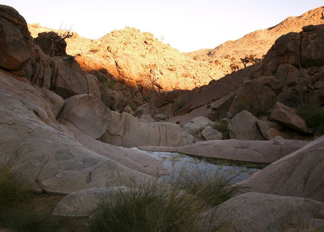 Imagen general del Hotel Solitaire Desert Farm. Foto 1