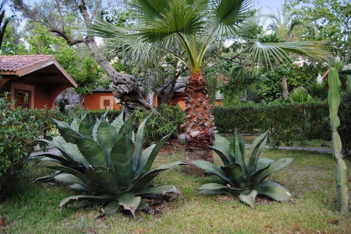 Imagen general del Hotel Soller Garden. Foto 14