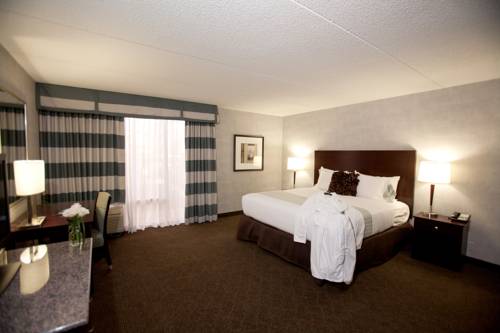 Imagen de la habitación del Hotel Somerset Inn Troy. Foto 7