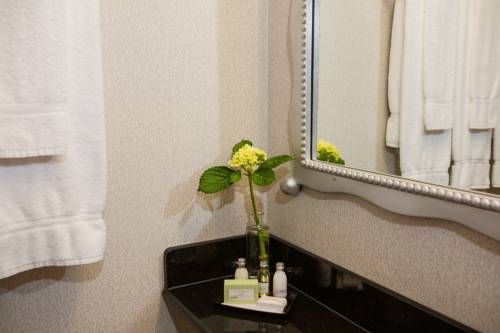 Imagen de la habitación del Hotel Somerset Inn Troy. Foto 11