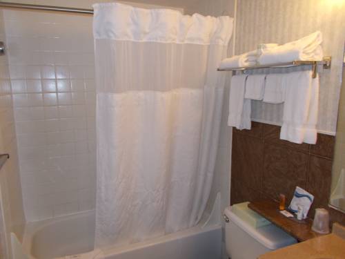 Imagen de la habitación del Hotel Somerset Lofts, an Ascend Hotel Collection Member. Foto 8