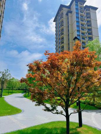 Imagen general del Hotel Somerset Star River Minhang Shanghai. Foto 7