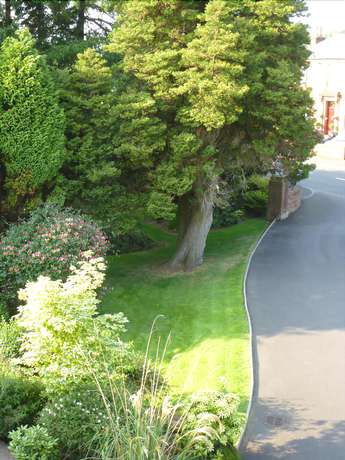 Imagen de los exteriores del Hotel Somerton House. Foto 12