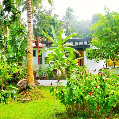 Imagen de la habitación del Hotel Somewhere Else Boutique Resort. Foto 35