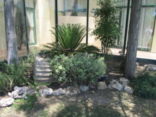 Imagen general del Hotel Sommelier Hostelera SL. Foto 7