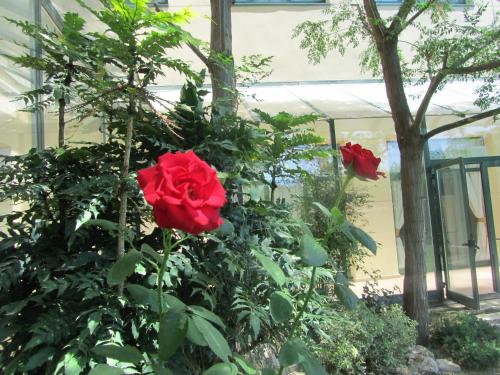 Imagen general del Hotel Sommelier Hostelera SL. Foto 11