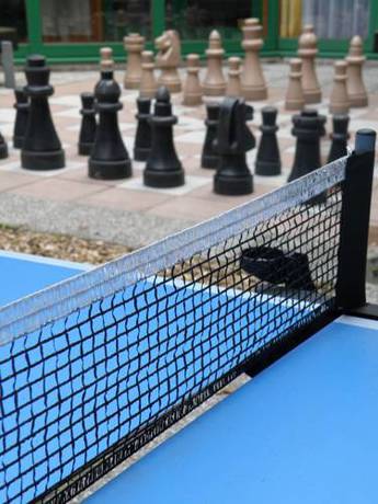 Imagen de la habitación del Hotel Sommerhaus, Bad Leonfelden. Foto 4