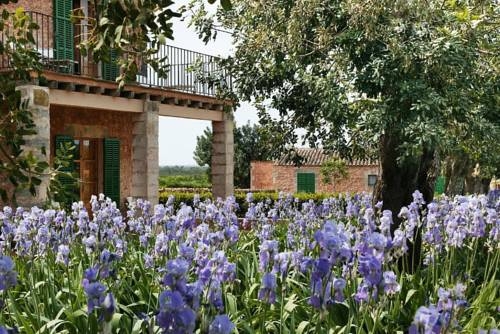 Imagen general del Hotel Son Bernadinet. Foto 6