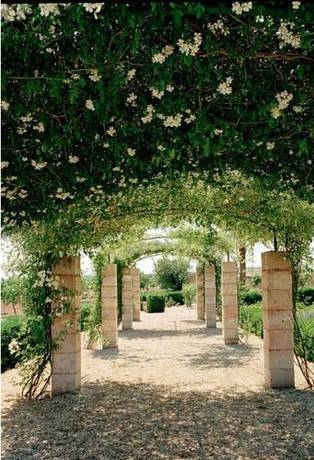 Imagen general del Hotel Son Bernadinet. Foto 7