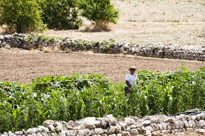 Imagen de los exteriores del Hotel Son Brull and Spa. Foto 13