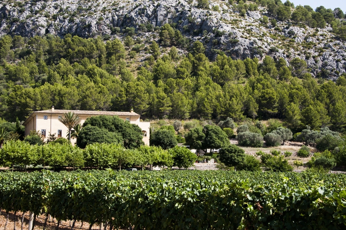 Imagen de los exteriores del Hotel Son Brull and Spa. Foto 14