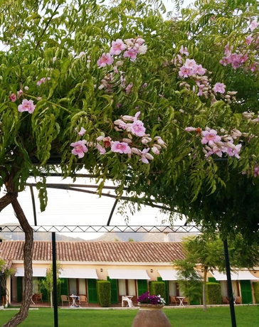 Imagen de los exteriores del Hotel Son Corb Boutique. Foto 8