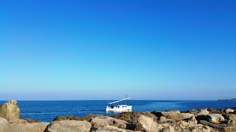 Imagen de los exteriores del Hotel Son Corb Boutique. Foto 9