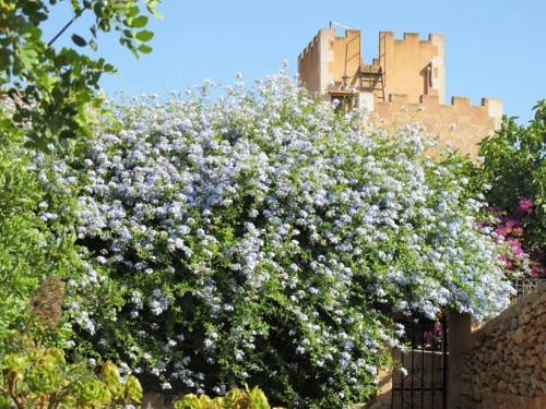 Imagen de la habitación del Hotel Son Marimon. Foto 13