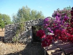 Imagen general del Hotel Son Marimon. Foto 11