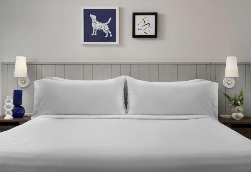 Imagen de la habitación del Hotel Sonesta Es Suites Chicago Downtown Magnificent Mile - Medical. Foto 14