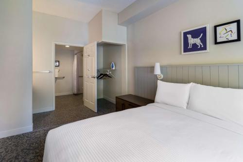 Imagen de la habitación del Hotel Sonesta Es Suites Denver South Park Meadows. Foto 17
