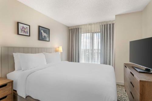 Imagen de la habitación del Hotel Sonesta Es Suites San Antonio Downtown Alamo Plaza. Foto 17