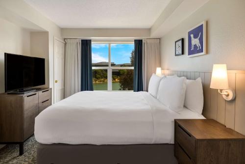Imagen de la habitación del Hotel Sonesta Es Suites San Francisco Airport Oyster Point Waterfront. Foto 13