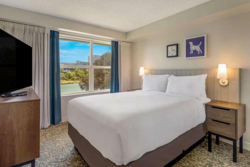 Imagen de la habitación del Hotel Sonesta Es Suites San Francisco Airport Oyster Point Waterfront. Foto 15