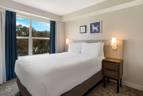 Imagen de la habitación del Hotel Sonesta Es Suites San Francisco Airport Oyster Point Waterfront. Foto 18