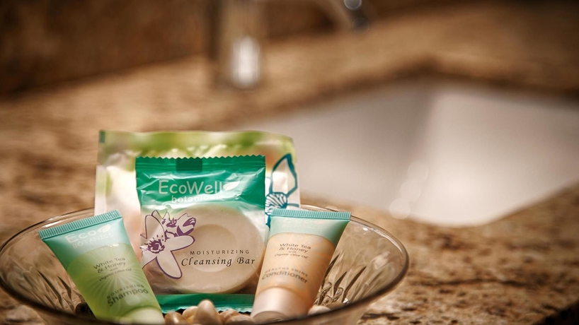 Imagen de la habitación del Hotel Sonesta Essential Orlando Airport. Foto 3