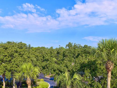 Imagen general del Hotel Sonesta Resort Hilton Head Island. Foto 2