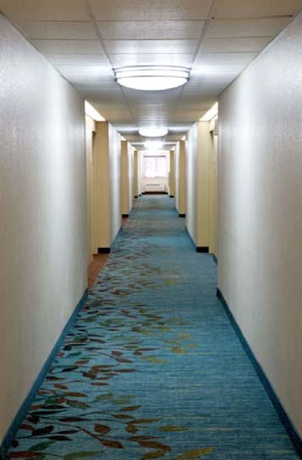 Imagen de los interiores del Hotel Sonesta Simply Suites Arlington. Foto 13