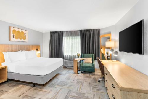 Imagen de la habitación del Hotel Sonesta Simply Suites Austin South. Foto 17