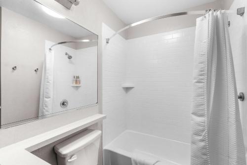 Imagen de la habitación del Hotel Sonesta Simply Suites Austin South. Foto 20