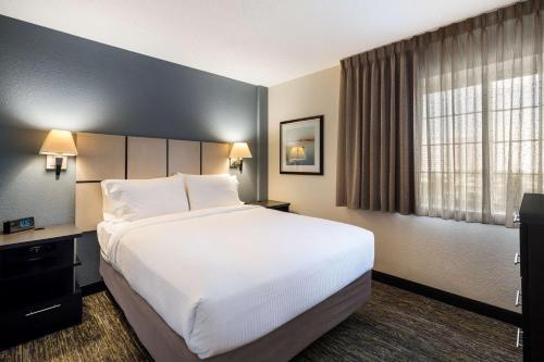 Imagen de la habitación del Hotel Sonesta Simply Suites Chicago Waukegan. Foto 20