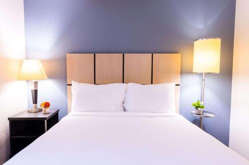 Imagen de la habitación del Hotel Sonesta Simply Suites Clearwater. Foto 15