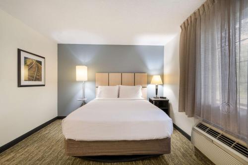 Imagen de la habitación del Hotel Sonesta Simply Suites Hampton. Foto 16