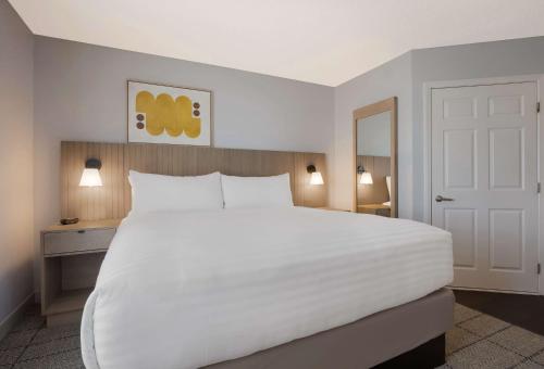 Imagen de la habitación del Hotel Sonesta Simply Suites Irvine East Foothill. Foto 18