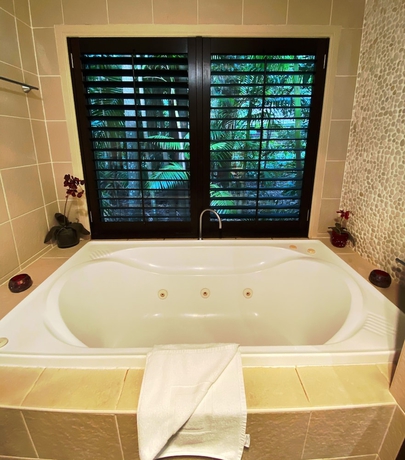 Imagen de la habitación del Hotel Songbirds Rainforest Retreat. Foto 5