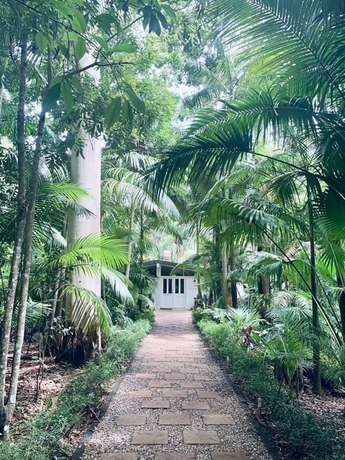 Imagen de los interiores del Hotel Songbirds Rainforest Retreat. Foto 19