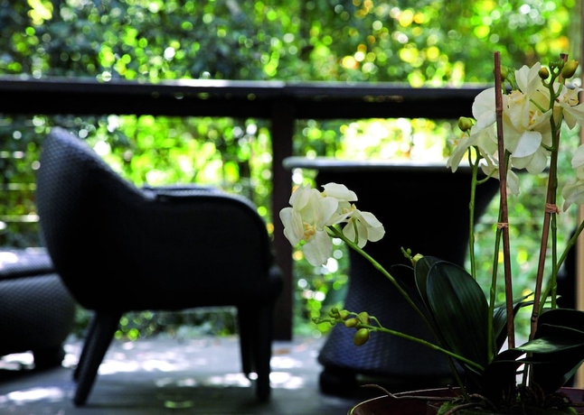 Imagen de la habitación del Hotel Songbirds Rainforest Retreat. Foto 13