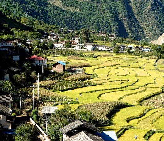 Imagen de los exteriores del Hotel Songtsam Cizhong Lodge. Foto 9