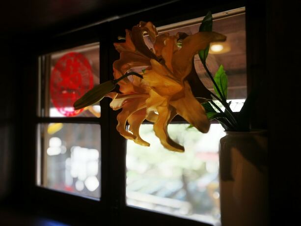 Imagen general del Hotel Songyang Utea Guesthouse. Foto 10