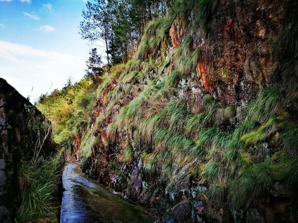 Imagen general del Hotel Songyang Utea Guesthouse. Foto 11
