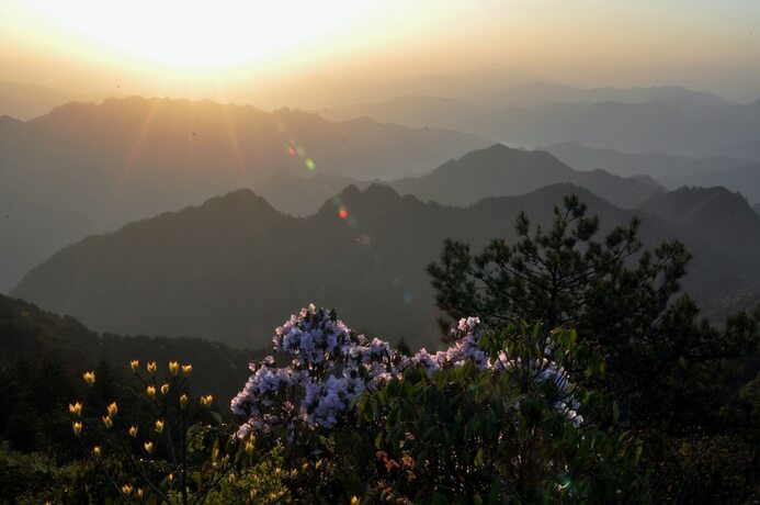 Imagen general del Hotel Songyang Utea Guesthouse. Foto 23