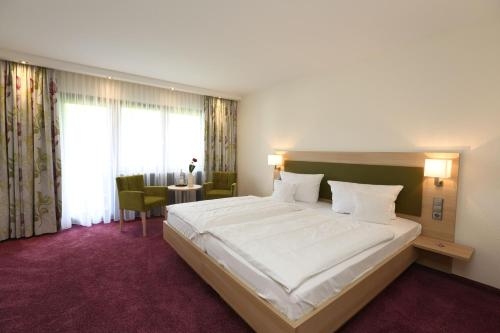 Imagen general del Hotel Sonne, Zell am Harmersbach. Foto 6