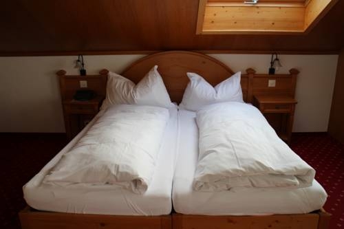 Imagen general del Hotel Sonnenberg, Grindelwald. Foto 3