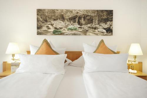 Imagen de la habitación del Hotel Sonnenhof, Lam. Foto 5