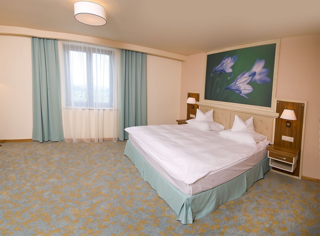 Imagen de la habitación del Hotel Sonnenhof, Suceava. Foto 2